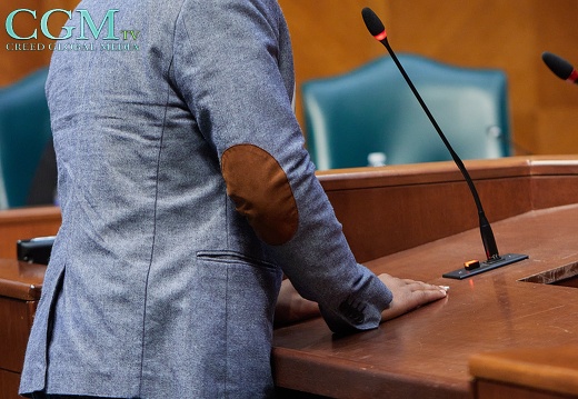 Copy of Copy of Houston City Council33